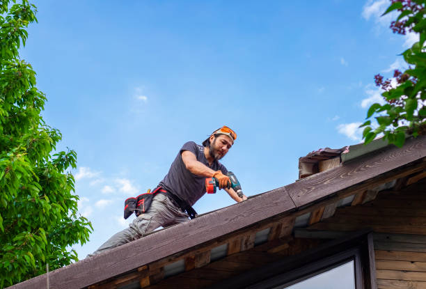 Best Roofing for New Construction  in Mount Carmel, PA